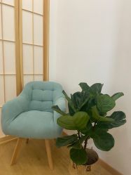 -盼兮·日式美睫沙龙