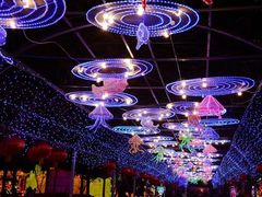 -淄博花灯齐彩城