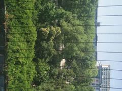 -苏州大学理想眼科医院