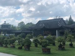 -盆景园(扬州大运河文化旅游度假区)
