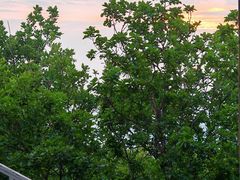 -帽儿山国家森林公园