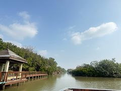 -大湾区中央湿地公园