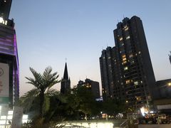 -达美乐比萨(武定店)