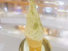 -野人先生现做冰淇淋(北京环宇荟店)
