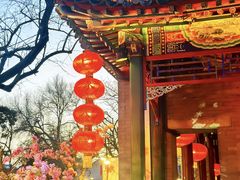 -白家大院·王府宫廷菜(苏州街店)