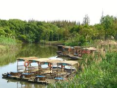 -上海长兴岛郊野公园