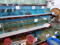 水产区-源海渔村·现捞海鲜(大角湾店)