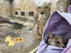 -上海野生动物园
