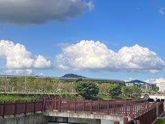 -宝安西湾红树林湿地公园