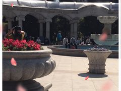 -睦南公园