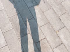 -野鸭湖国家湿地公园