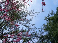 -苏州东太湖生态园