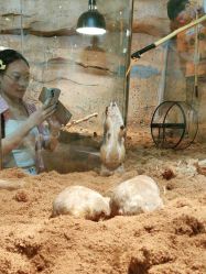 -Zoolung Zoolung动物主题公园(海信广场店)