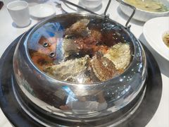 -大锅强·蒸海鲜青岛菜(吾悦广场店)