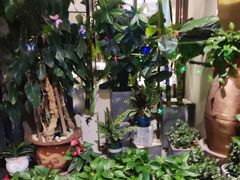 -东颖龙肥牛王(绵阳店)