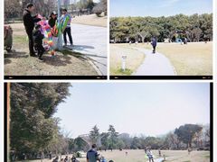 -玉山公园