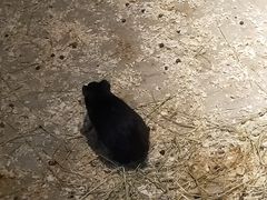 -绿色星球动物主题公园