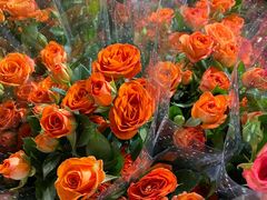 -循礼门鲜花花市(武汉循礼门店)