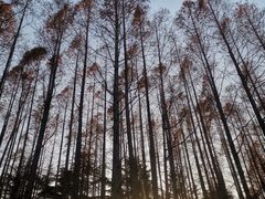 -汇泉广场