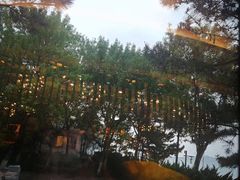 -海草馆自助餐厅(悦海店)