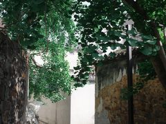 -西山风景区