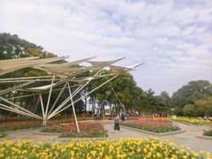 -上海鲜花港