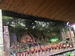 -海南槟榔谷黎苗文化旅游区