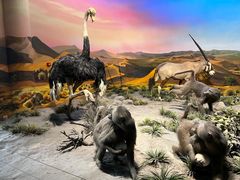 -国家自然博物馆