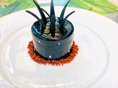 黑凤梨-大树餐厅(红旗街万达店)