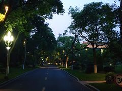 -浙江西子宾馆·牡丹厅