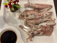 鲜鱿管-福建美食城(老君堂店)