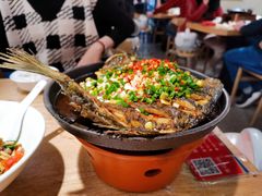 铁板鲫鱼-聚鑫朋酸菜肥肠(文艺路口店)