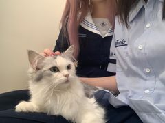 -怪兽屋·羊驼·猫咖·狗咖(俊华广场店)