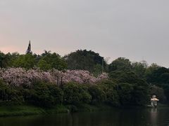 -潮镇老尾牛杂(环城西路店)