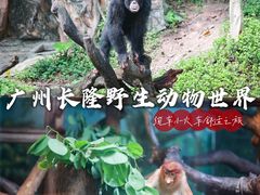 -广州长隆野生动物世界