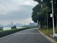 -希尔顿南海酒店·观廊大堂吧·海景下午茶