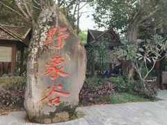 -野象谷景区