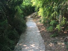 -南翠屏公园