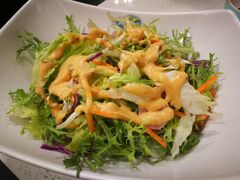 蔬菜沙拉-韩时烤肉(枫蓝店)