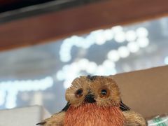 -昕艺咖啡(鼎城国际旗舰店)