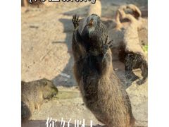 -北戴河集发农业梦想王国