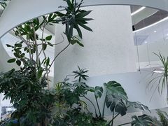 -大树餐厅(朝阳大悦城店)