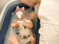 -田螺阿姨自营月嫂·育儿嫂(高新店)