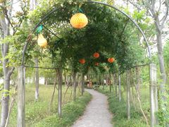 -上海长兴岛郊野公园