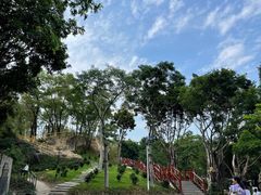 -深圳国际园林花卉博览园