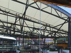 -移动谜城·大笨象密室逃脱(五棵松店)