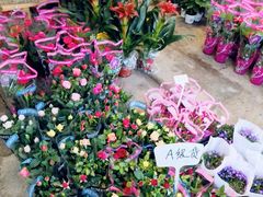 -桂林市花鸟市场