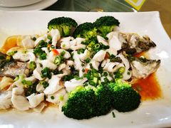 -花好悦园(瀛洲店)