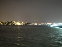 -演武大桥观景平台