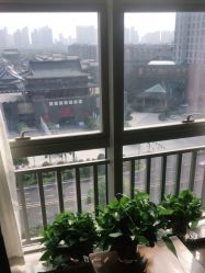 点击看大图 -白壁上妍の日式美肌·徒手小颜整骨院